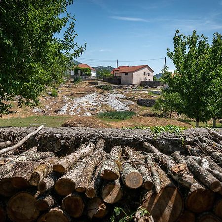Guest House Gornji Ceklin Τσέτινιε Εξωτερικό φωτογραφία