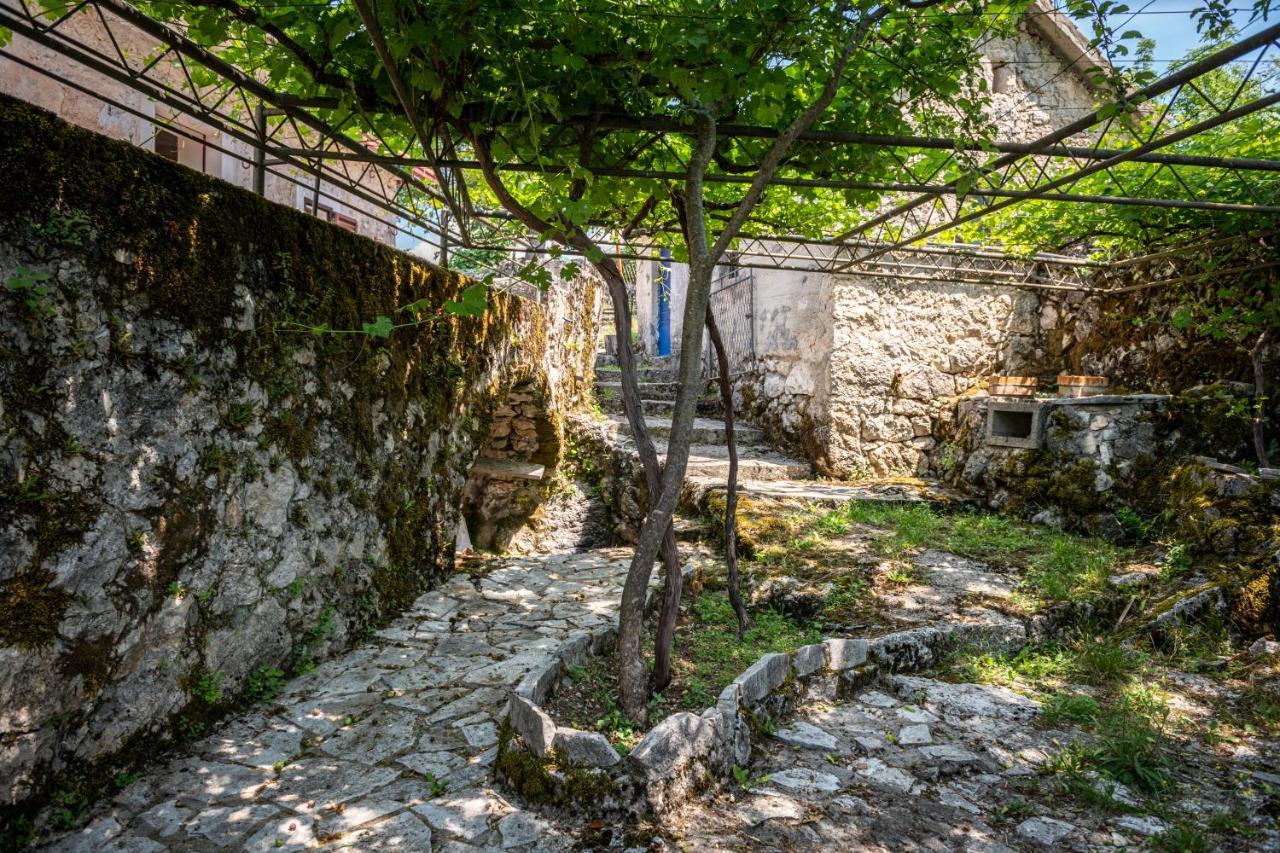 Guest House Gornji Ceklin Τσέτινιε Εξωτερικό φωτογραφία