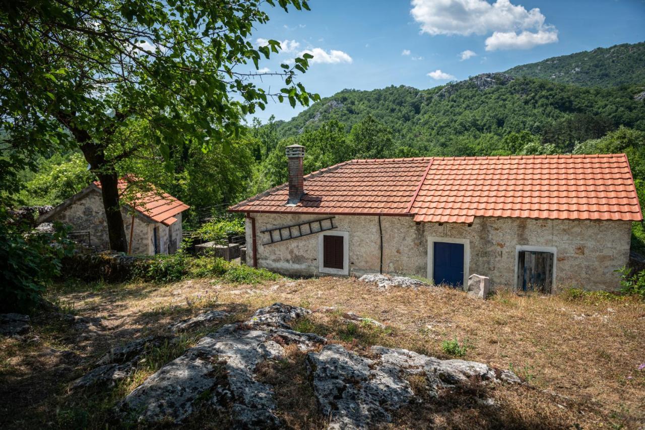 Guest House Gornji Ceklin Τσέτινιε Εξωτερικό φωτογραφία